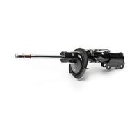 Ammortizzatore MONROE C2503S
