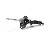 MONROE C2506R Ammortizzatore A pressione del gas Ammortizzatori