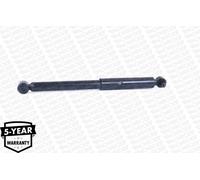 Monroe G1171 Ammortizzatore, Set di 2