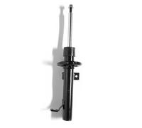 Monroe G16384 Ammortizzatore, Set di 2 | Compatibile con: FORD FIESTA V, MAZDA 2