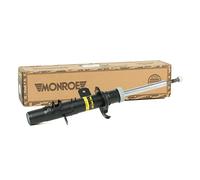 Monroe AMM Ant DX C3 02 G16449
