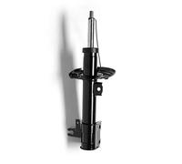 Monroe G8003 Ammortizzatore,1 Pezzo