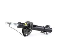 MONROE G8109 2x Ammortizzatore A pressione del gas Ammortizzatori