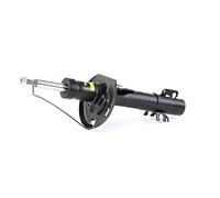Ammortizzatore MONROE G8109
