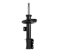 Monroe G8208 Ammortizzatore, Set di 2