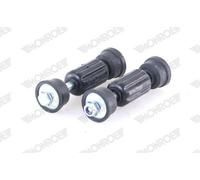 Asta/Puntone, Stabilizzatore - MONROE L16612