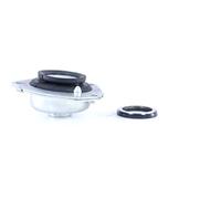 Montaggio del puntone MONROE MK148L sinistro