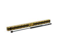Coperchio del bagagliaio con montante a gas MONROE MONML5020