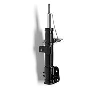 Monroe 16455 Ammortizzatore, Set di 2