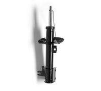 Monroe G8003 Ammortizzatore,1 Pezzo
