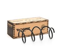 MONROE SP3503 Molle ammortizzatori