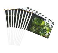 Monstera Deliciosa Banana Palm Print Convenienza Bandiere Palmare Leggero Bandiere Party Parata Eventi Festival Decor