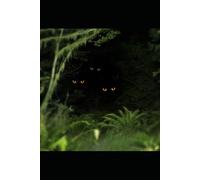 Monsters We Made: Unmasking the Animals Behind the Myths