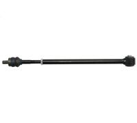 Montaggio, asta panhard DELPHI TC3029 per DISCOVERY IV (L319) 5 2009-2018