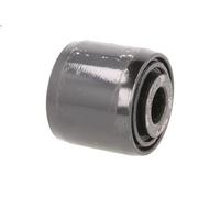 Montaggio, barra stabilizzatrice FEBI 22889 DAF 65 6.24 1993-1997