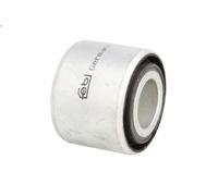 Montaggio, barra stabilizzatrice FEBI 28134 per IVECO TRAKKER I 7.79 2004-2012