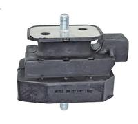 Montaggio, cambio automatico MEYLE 300 221 1162 per BMW 5 (E60) 4 2007-2009