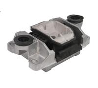 Montaggio, cambio manuale REINHOCH RH11-4036 per MONDEO III (B5Y) 3 2002-2007