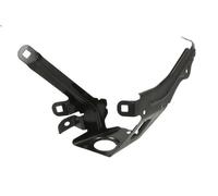 Montaggio, supporto per ala BLIC 7802-03-0067383GP 5 Gran Turismo (F07) 3 2009-