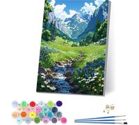 Montagna Dipingere con i Numeri Adulti con Telaio, Dipingere con i Numeri Fiume, Fai da te Paint by Numbers Kits con 3 Pennelli e Pigmento Acrilico, pour Decorazioni Casa, Regalo Donna 30x40cm 9-4635