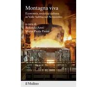 Montagna viva. Economia, società e cultura in Valle Sabbia nel Novecento