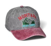 Montana Big Sky Country - Cappello da papà Vintage in Cotone Lavato, Visiera Curva Regolabile, Berretto da Baseball per Uomini e Donne, Golf, Escursionismo, Marrone/Grigio, Taglia Unica