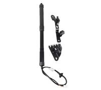 Montante del portellone posteriore dell'auto Supporto Portellone Elettrico Molle A Gas Portellone Posteriore Elettrico Per Lexus NX 200T 300H 2014-2016 6892079016(Right RH)