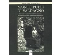 Monte Pulli di Valdagno. Storia di una miniera e delle ricerche di combust...