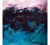 Monte Terror El Primer Vuelo De Las Aves Marinas (Vinyl LP)