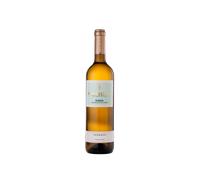 Montecillo Singladuras Rueda 2025