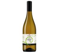 Montedolce Gocce di Rugiada Etna DOC Bianco 2019 0,75 ℓ