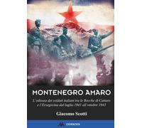 Montenegro amaro. L'odissea dei soldati italiani tra le Bocche di
