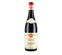 Montepulciano d'Abruzzo DOC 2023 - Emidio Pepe 0.75 lt