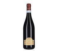 Montepulciano d'Abruzzo Riserva 'Marina Cvetic' Masciarelli 2021