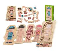 Montessori Puzzle di legno costruire corpo anatomie umane Playbook bambini scienza biologia 28 pezzi mistero corpo umano corpo muscolare interno scheletro ragazzo ragazza (ragazzi)