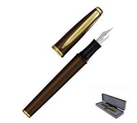 Monteverde USA Aldo Domani - Penna stilografica, pennino fine, flacone d'inchiostro da 15 ml, convertitore e 2 cartucce, regalo per gli amanti della penna stilografica
