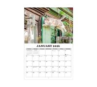 Monthly Calendar | Cat Calendar 2026-13-Month Planning Tool For Students Teachers Consultants Freelancers Studio Workshop Dormitory Office Classroom School Living Room Bedroom Study