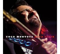 Montoya Coco - Hard Truth