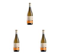 Montresor Soave DOP Classico (Confezione da 3)