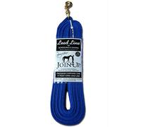 Monty Roberts Linee di piombo