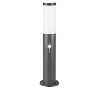 Monzana Lampada per Vialetto Giardino Acciaio 500x76 mm