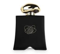Mood Collection Magneticfor Him Eau de Parfum 100 ml | Profumo da uomo | Profumo quotidiano