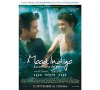 Mood Indigo - La Schiuma dei Giorni (DVD)