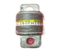 MOOEDJKL 1 pz Fusibili 250FH100 250FH-100 100A 250V 250FH35 250FH40 250FH50 250FH60 250FH75 250FH125 250FH150 250FH175 500FH100 AR(250FH150)