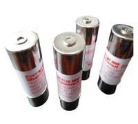 MOOEDJKL 1 pz Fusibili FR22AM69V1P E215652 2P J216162 4P A217695 6P Y218728 FR22AM69V8P Q219779 FR22AM69V10P S222978 FR22AM69V12P R201311(FR22AM69V10P)