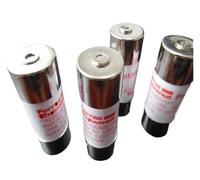 MOOEDJKL 1 pz Fusibili FR22AM69V63P A1022166 80P C1022168 FR22AM50V63P B217696 80P Z218729 FR22AM50V100P T222979 FR22AM50V125P S201312(FR22AM50V63P)