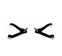 MOOG 2x Braccio Oscillante Sinistra Destra per Iveco Quotidiano IV Pritsche /