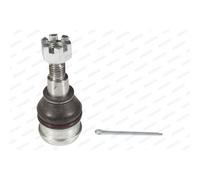 MOOG Giunto Sferico Doppio Inferiore Anteriore Adatto Per Honda Jazz III