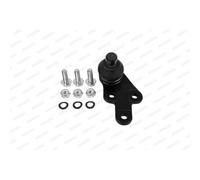 MOOG Giunto Sferico Giunto Di Guida Destro Inferiore Anteriore Per Ford Kuga II