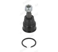 Perno braccio oscillante inferiore HO-BJ-10556 MOOG per HONDA CR-V II